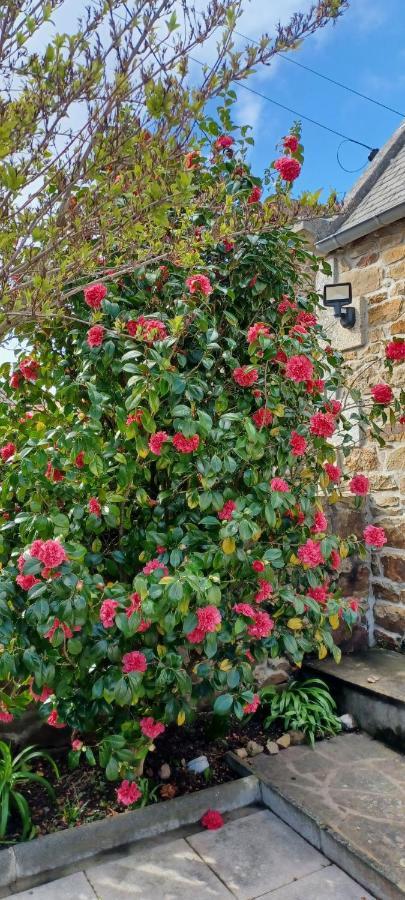 플뢰뮈르보두 Cote De Granit Rose 빌라 외부 사진